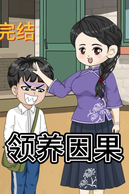 领养因果封面