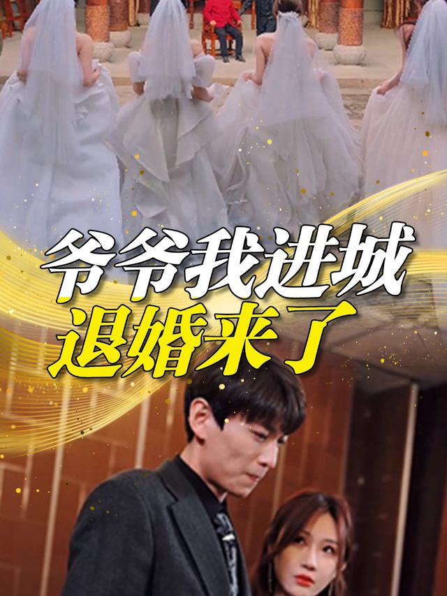 爷爷我进城退婚来了封面