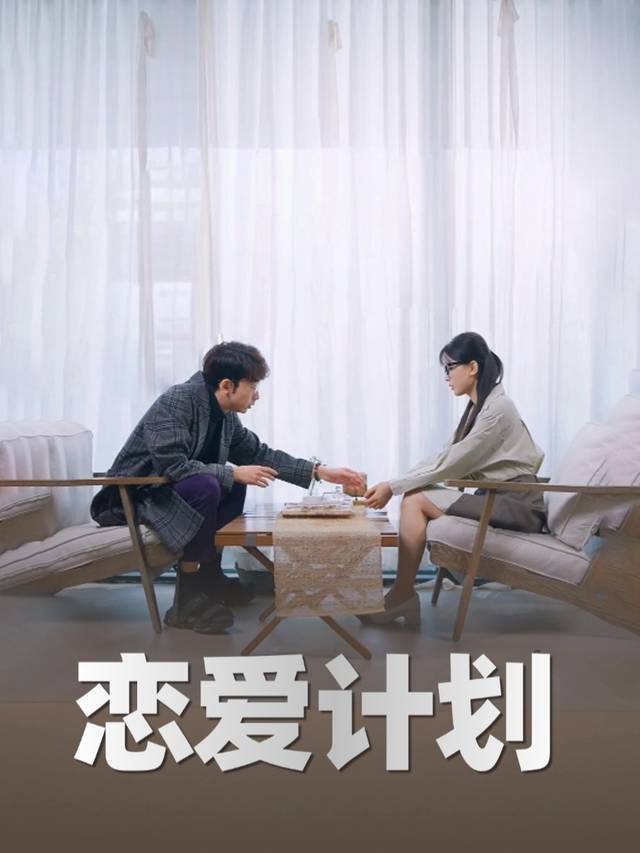 恋爱计划封面