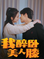 我醉卧美人膝封面