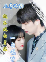 三年婚姻,抵不过白月光一句谎言封面