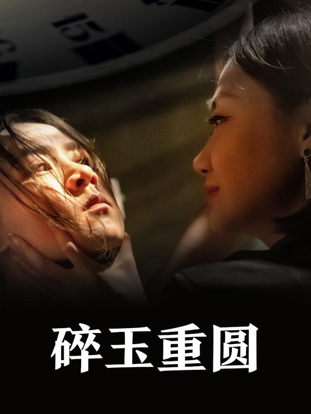 碎玉重圆封面