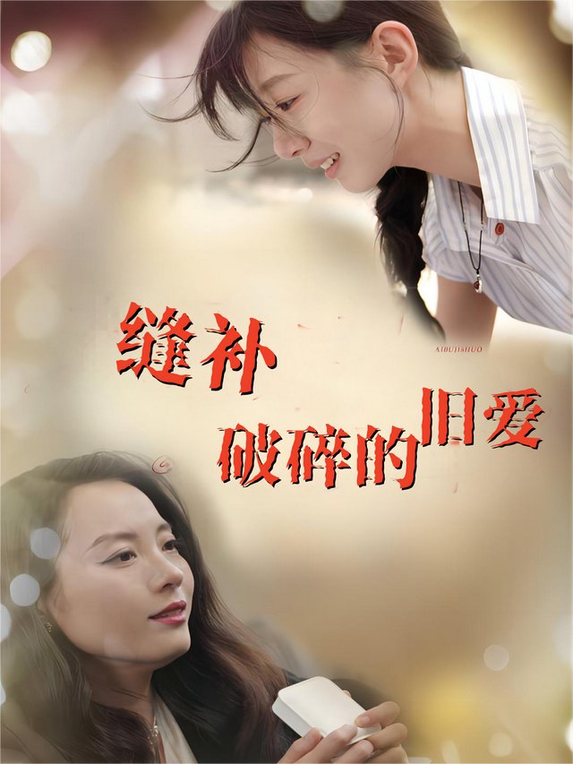 缝补破碎的旧爱封面