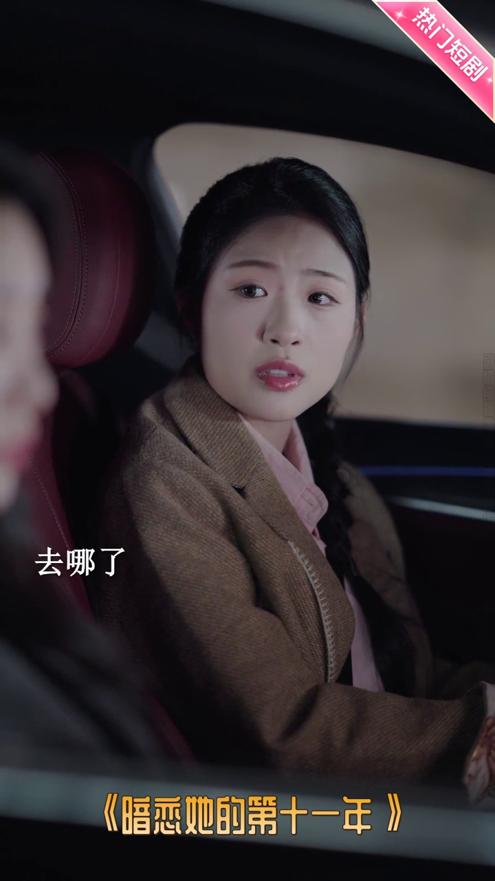 暗恋她的第十一年封面
