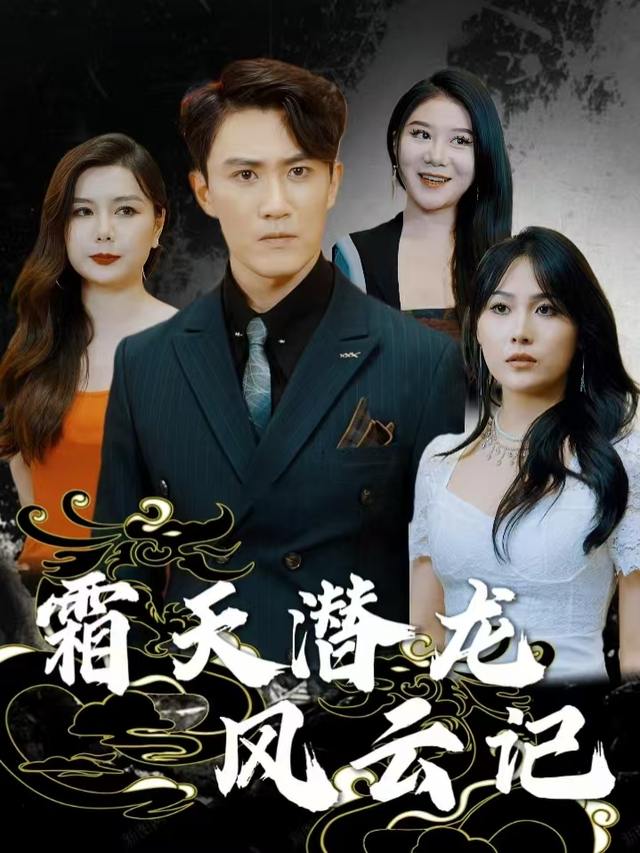 霜天潜龙风云记封面
