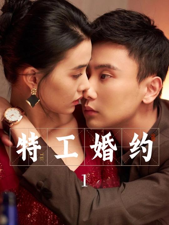 特工婚约封面